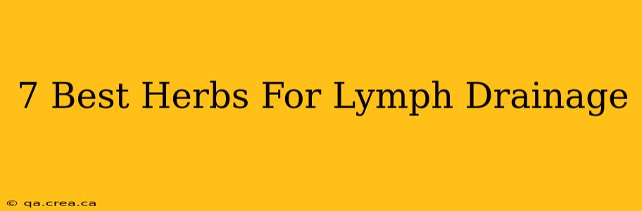 7 Best Herbs For Lymph Drainage