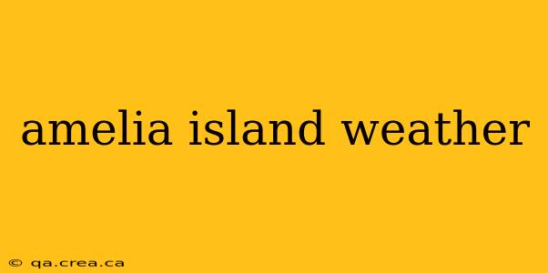 amelia island weather