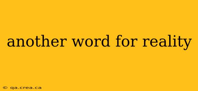 another word for reality