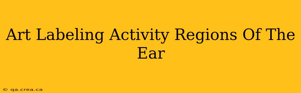 Art Labeling Activity Regions Of The Ear