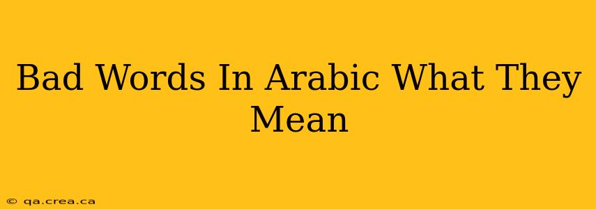 Bad Words In Arabic What They Mean