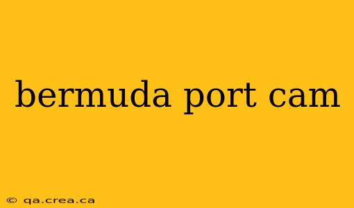 bermuda port cam