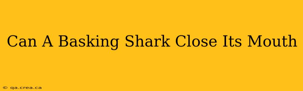 Can A Basking Shark Close Its Mouth