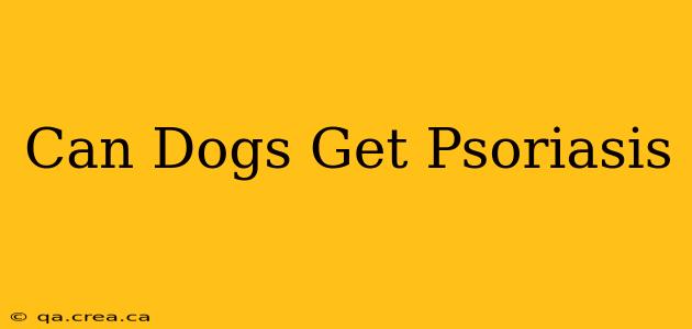 Can Dogs Get Psoriasis