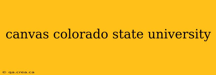 canvas colorado state university