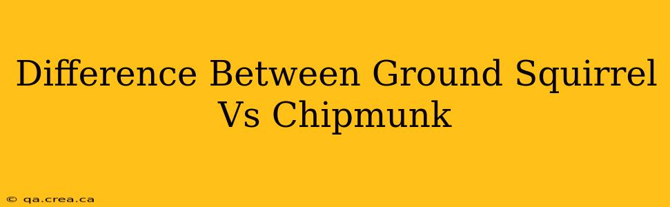 Difference Between Ground Squirrel Vs Chipmunk