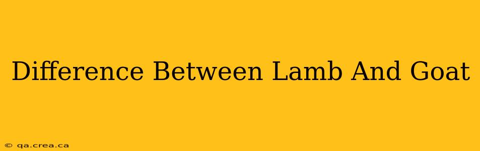Difference Between Lamb And Goat