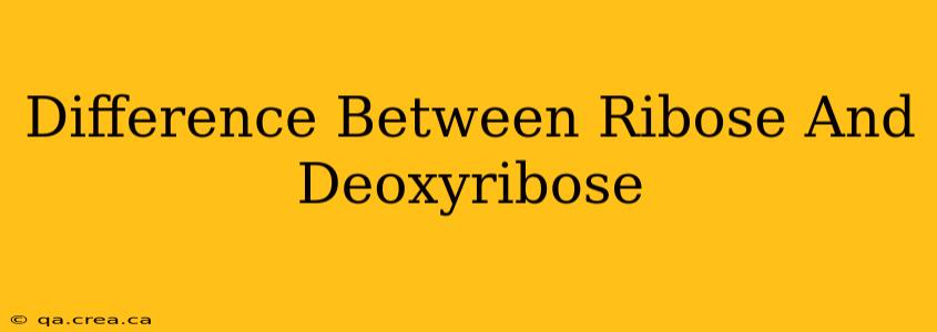 Difference Between Ribose And Deoxyribose