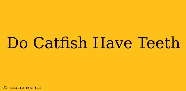 Do Catfish Have Teeth
