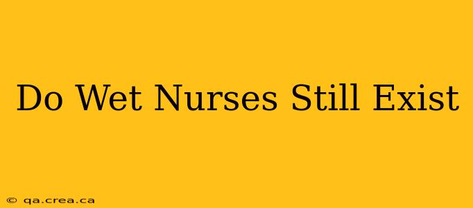 Do Wet Nurses Still Exist