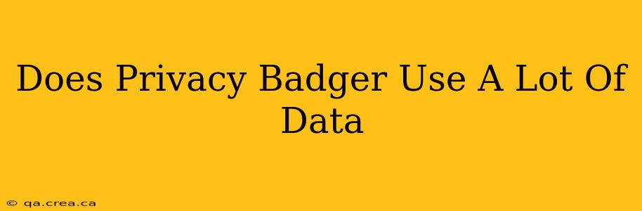 Does Privacy Badger Use A Lot Of Data