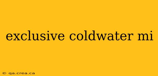 exclusive coldwater mi