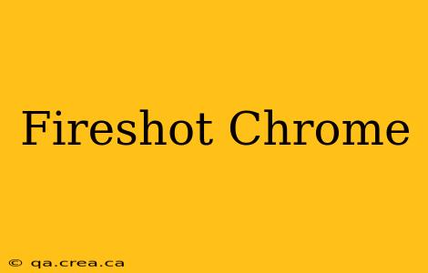 Fireshot Chrome