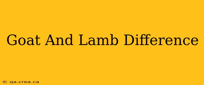 Goat And Lamb Difference