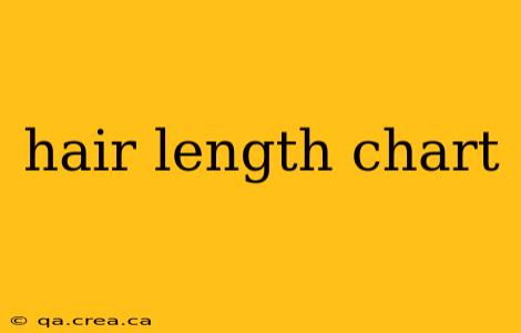 hair length chart