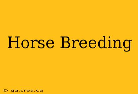Horse Breeding