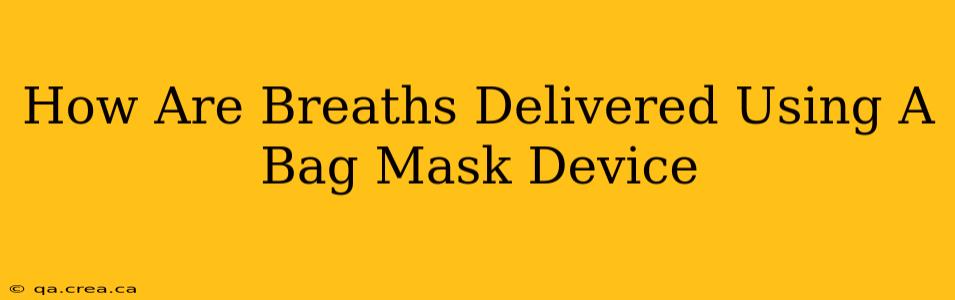 How Are Breaths Delivered Using A Bag Mask Device