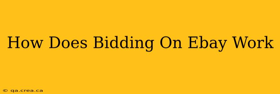 How Does Bidding On Ebay Work