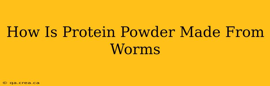 How Is Protein Powder Made From Worms
