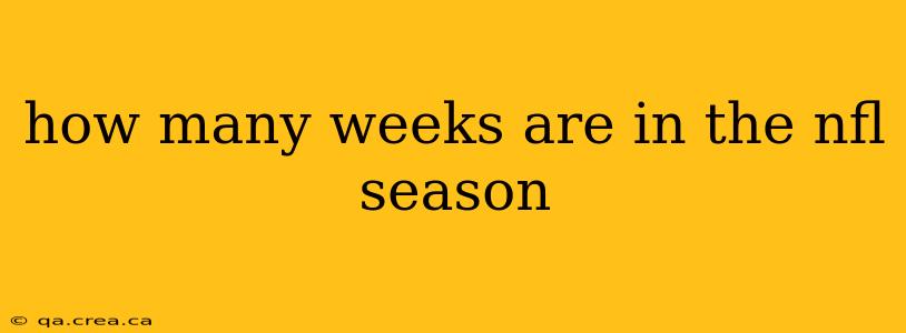 how many weeks are in the nfl season