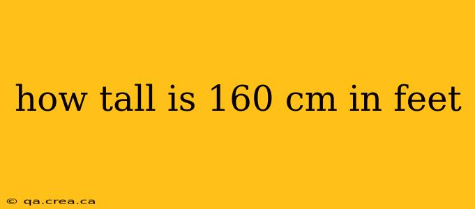 how tall is 160 cm in feet