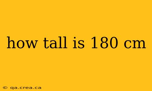 how tall is 180 cm