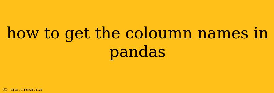how to get the coloumn names in pandas