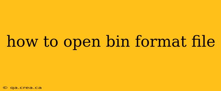 how to open bin format file