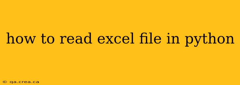 how to read excel file in python