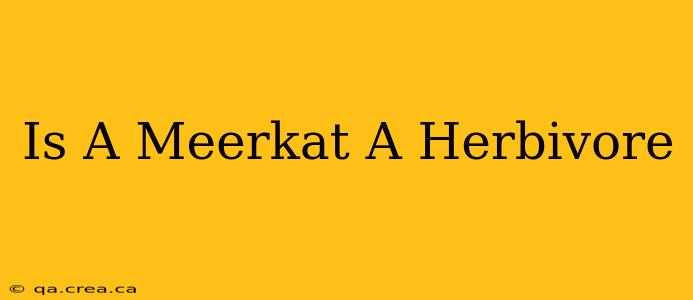Is A Meerkat A Herbivore