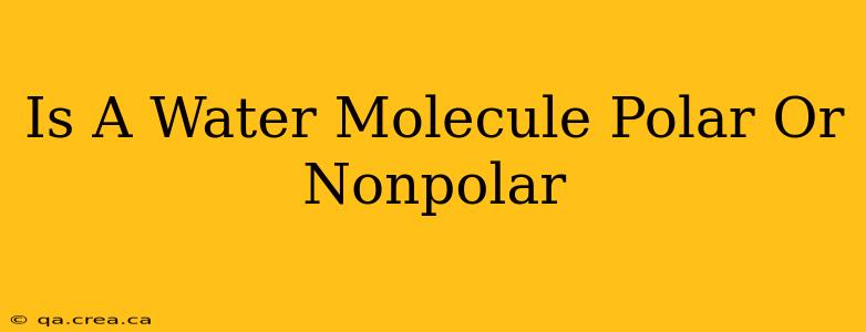 Is A Water Molecule Polar Or Nonpolar
