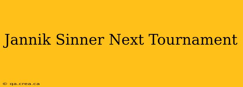 Jannik Sinner Next Tournament