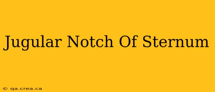 Jugular Notch Of Sternum