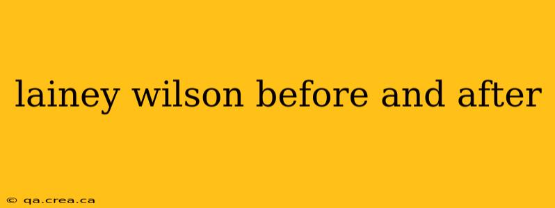 lainey wilson before and after