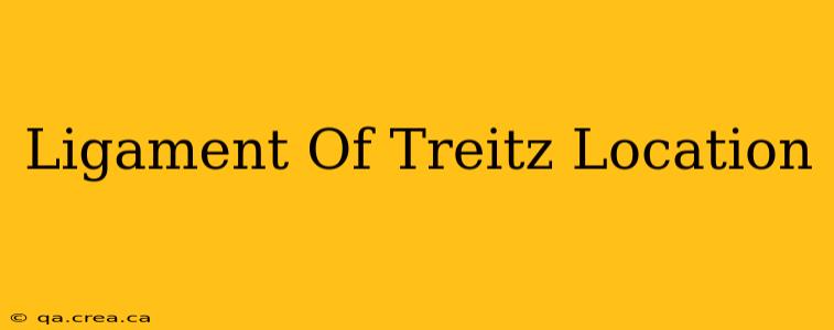 Ligament Of Treitz Location