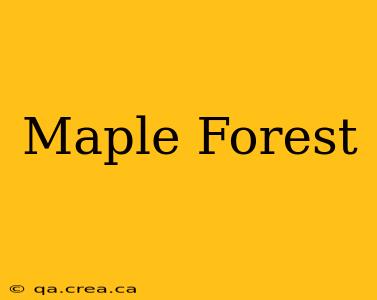 Maple Forest