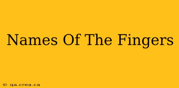 Names Of The Fingers