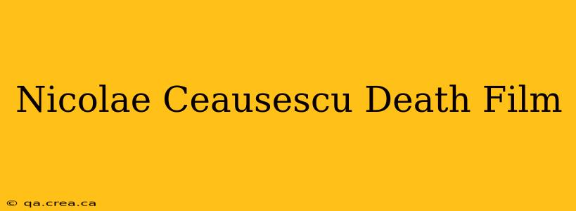 Nicolae Ceausescu Death Film