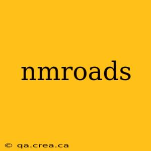 nmroads
