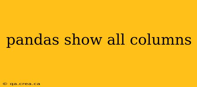 pandas show all columns