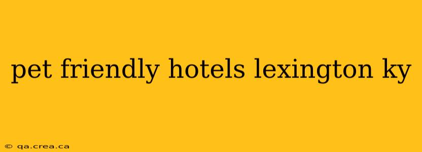 pet friendly hotels lexington ky