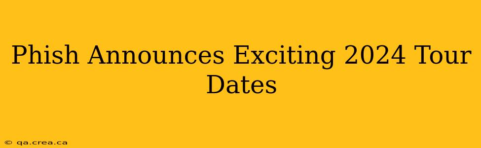Phish Announces Exciting 2024 Tour Dates
