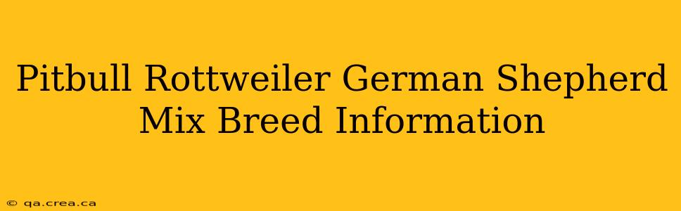 Pitbull Rottweiler German Shepherd Mix Breed Information