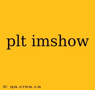 plt imshow