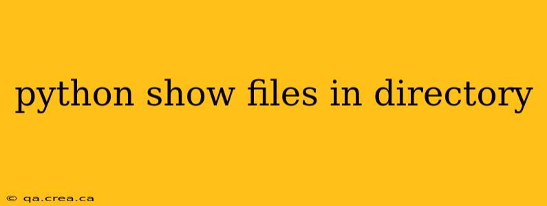 python show files in directory