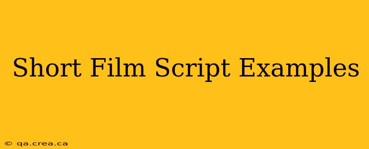 Short Film Script Examples