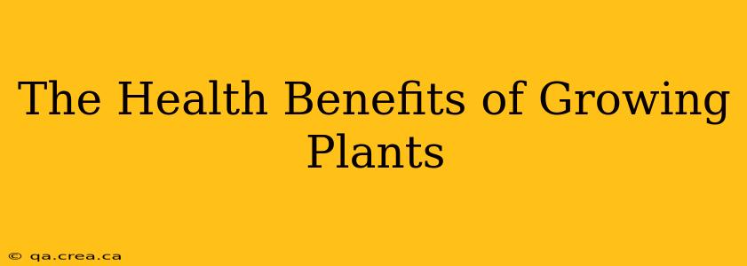 The Health Benefits of Growing Plants