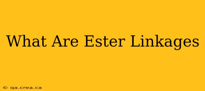 What Are Ester Linkages