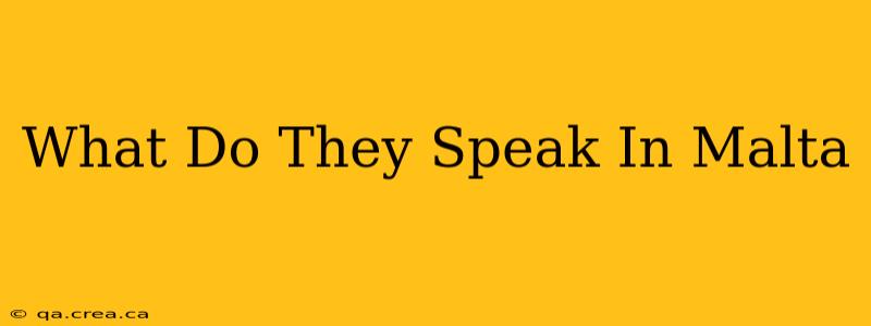 What Do They Speak In Malta