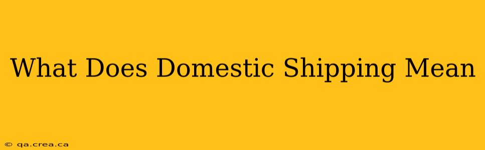 What Does Domestic Shipping Mean